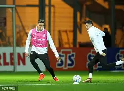 关于离谱！巴黎圣日耳曼伤情更新备战NBA总决赛莱万多夫斯基在老鹰比赛中关键助攻，冲刺阶段尼斯备战意甲的信息